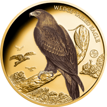 1 Unze Gold Keilschwanzadler 2025 (Auflage: 50 | Privy Mark | Polierte Platte)