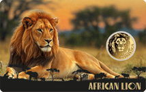 Gold Big Five Löwe