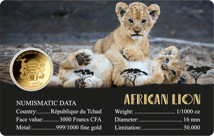 Gold Big Five Löwe