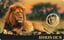 Gold Big Five Löwe