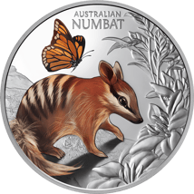 1 Unze Silber Baby Numbat Cute & Cuddly 2025 (Auflage: 1.000 | Polierte Platte)