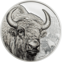 1 Unze Silber Mongolischer Bison 2025  (Auflage: 2.500 | High Relief | Polierte Platte)