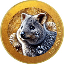 1 Unze Silber Tierwelt Australiens Wombat 2024 (Auflage: 50 | teilvergoldet)