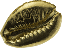 40g Gold Cowrie Muschelbarren