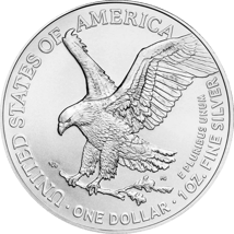 80 x 1 Unze Silber American Eagle 2023