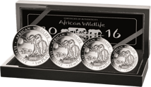 Platin Set: 1/10 - 1 Unze Somalia Elefant 2016 (im Etui)