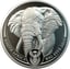 1 Unze Platin Big Five Elefant 2019 PP (Auflage: 500 | 1. Motiv | im Etui)